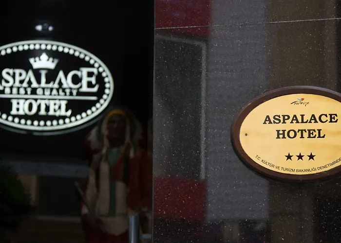 Отель Aspalace The Old Стамбул
