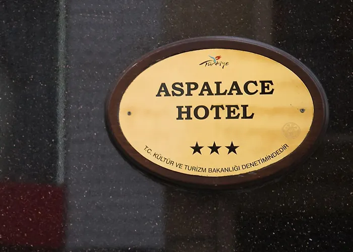 Отель Aspalace The Old Стамбул